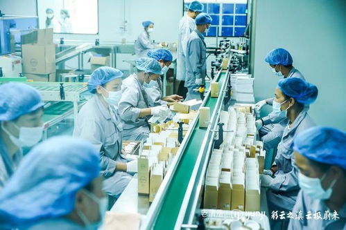老滇凰云極工廠 以信息技術咨詢服務為引擎，驅動云南蜂業現代化轉型